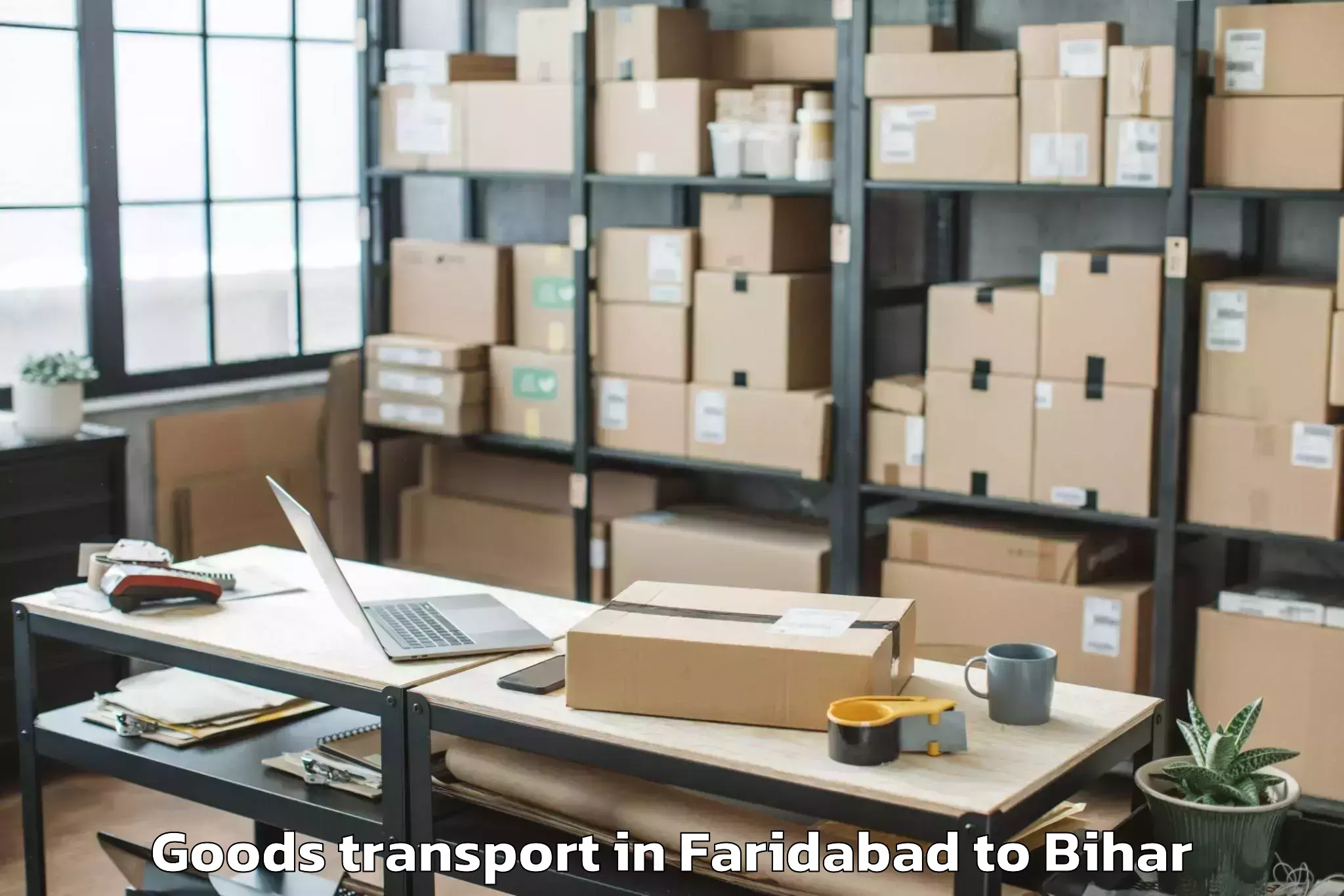 Professional Faridabad to Kadwa Goods Transport